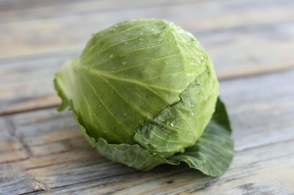 Cabbage